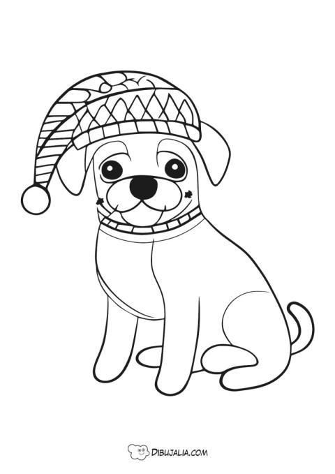 Perro con gorro de navidad
