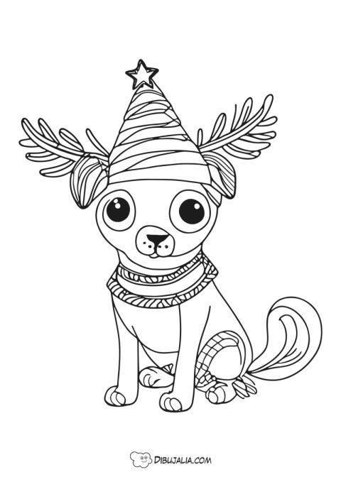 Chiguagua con gorro de navidad