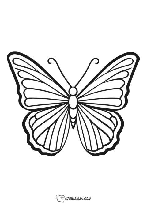 Mariposa para colorear