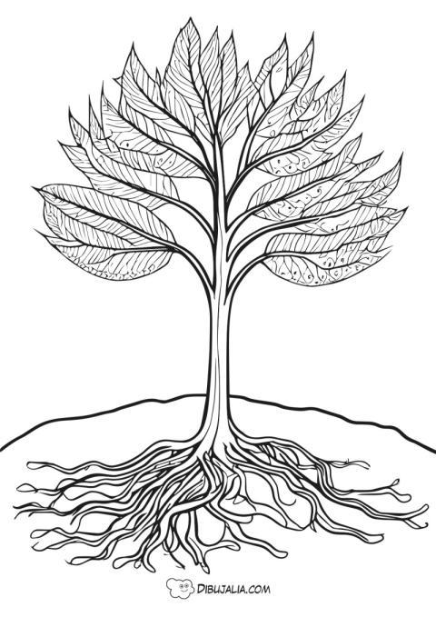 Árbol de grandes hojas