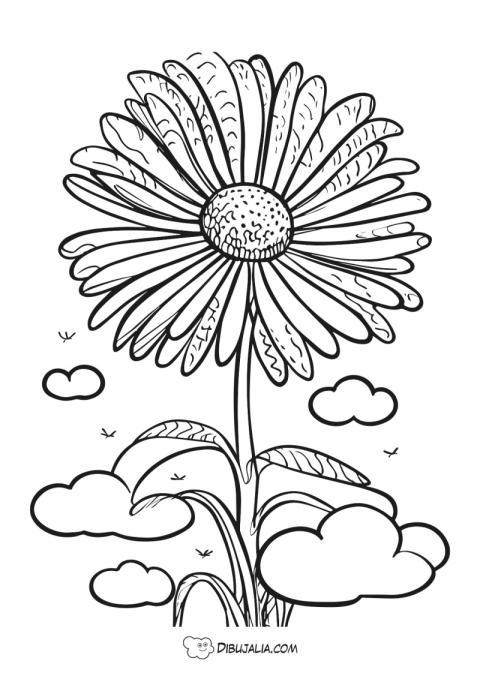 Margarita con un cielo