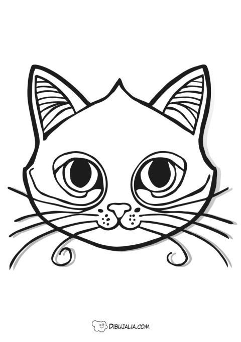 Mascara de un gato