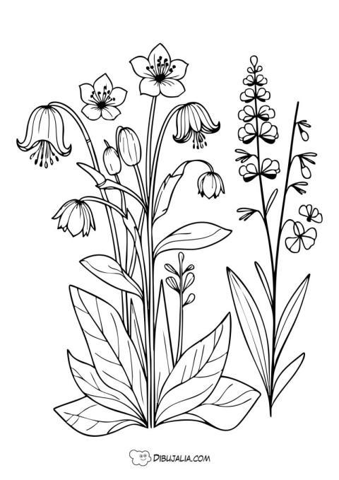 Flores silvestres de campo