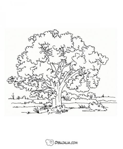 Arbol enorme con hojas