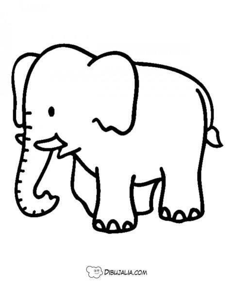 elefante bebe muy divertido