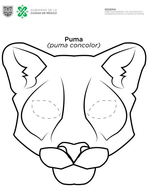 Máscara de Puma