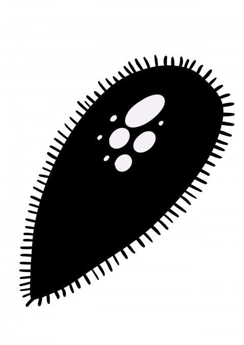 Célula con pelillos de movimiento