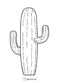 Cactus genial del desierto