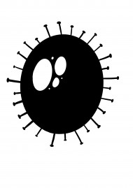 Célula tipo coronavirus