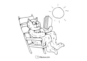Gato lector al Sol