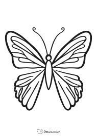 Mariposa gigante